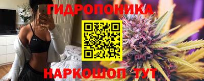 тгк Можга
