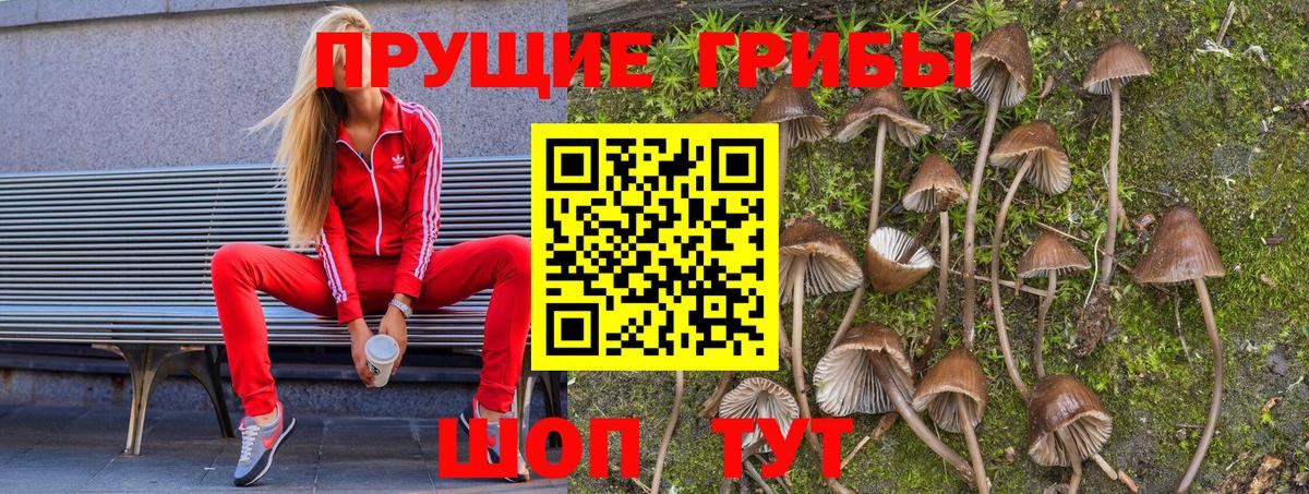 даркнет сайт  Вход с VPN  Арсеньев  Псилоцибиновые грибы Magic Shrooms 